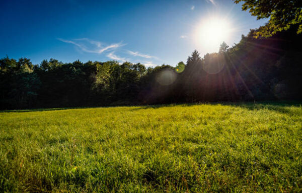 Meadow, Country, Summer, Spring, Munich, Starnberg, Bavaria, Germany